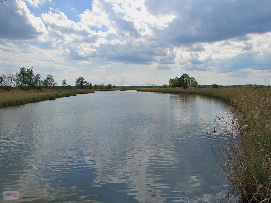 Goryń - spiętrzone wody Radomki