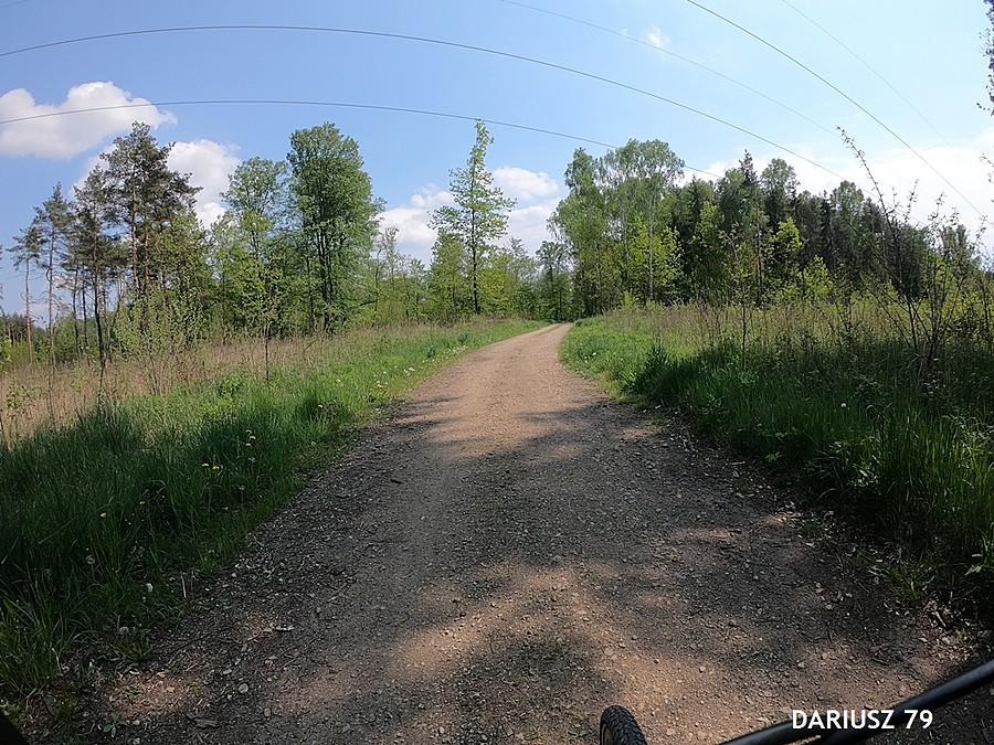 Sosnowiec Las Zagórski