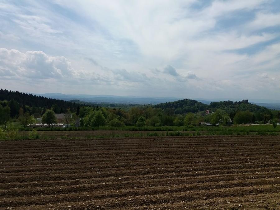 Widok na Beskid Niski i zamek kamieniec.