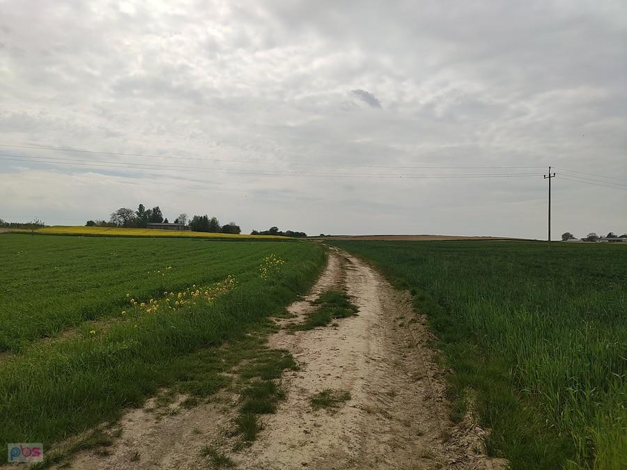 Jedna z "gorszych" dróg gruntowych, które miałam dzisiaj okazję przejechać