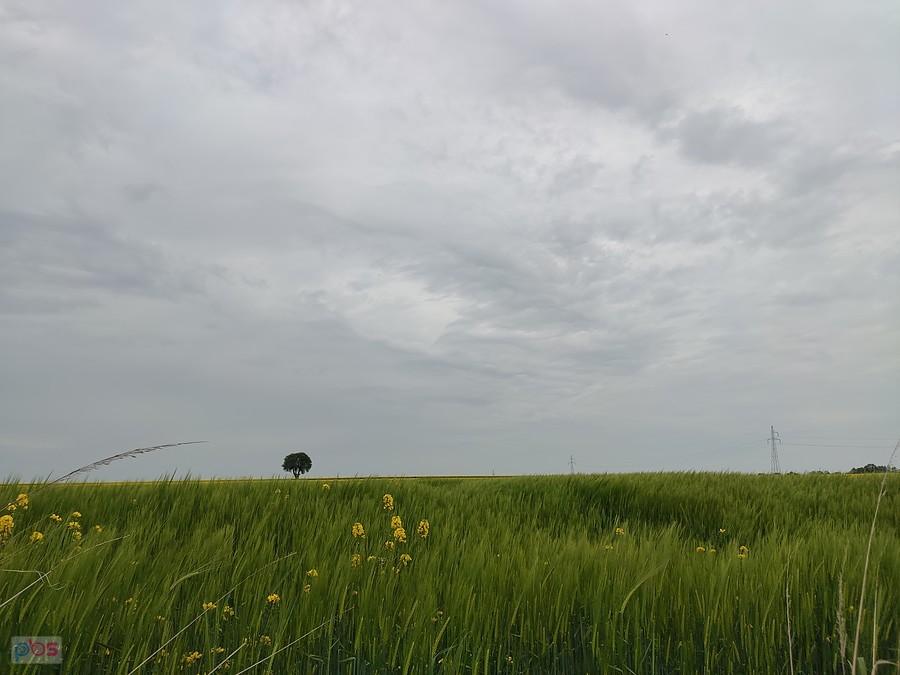 Niby zchmurzone niebo, ale na szczęście deszczu nie było