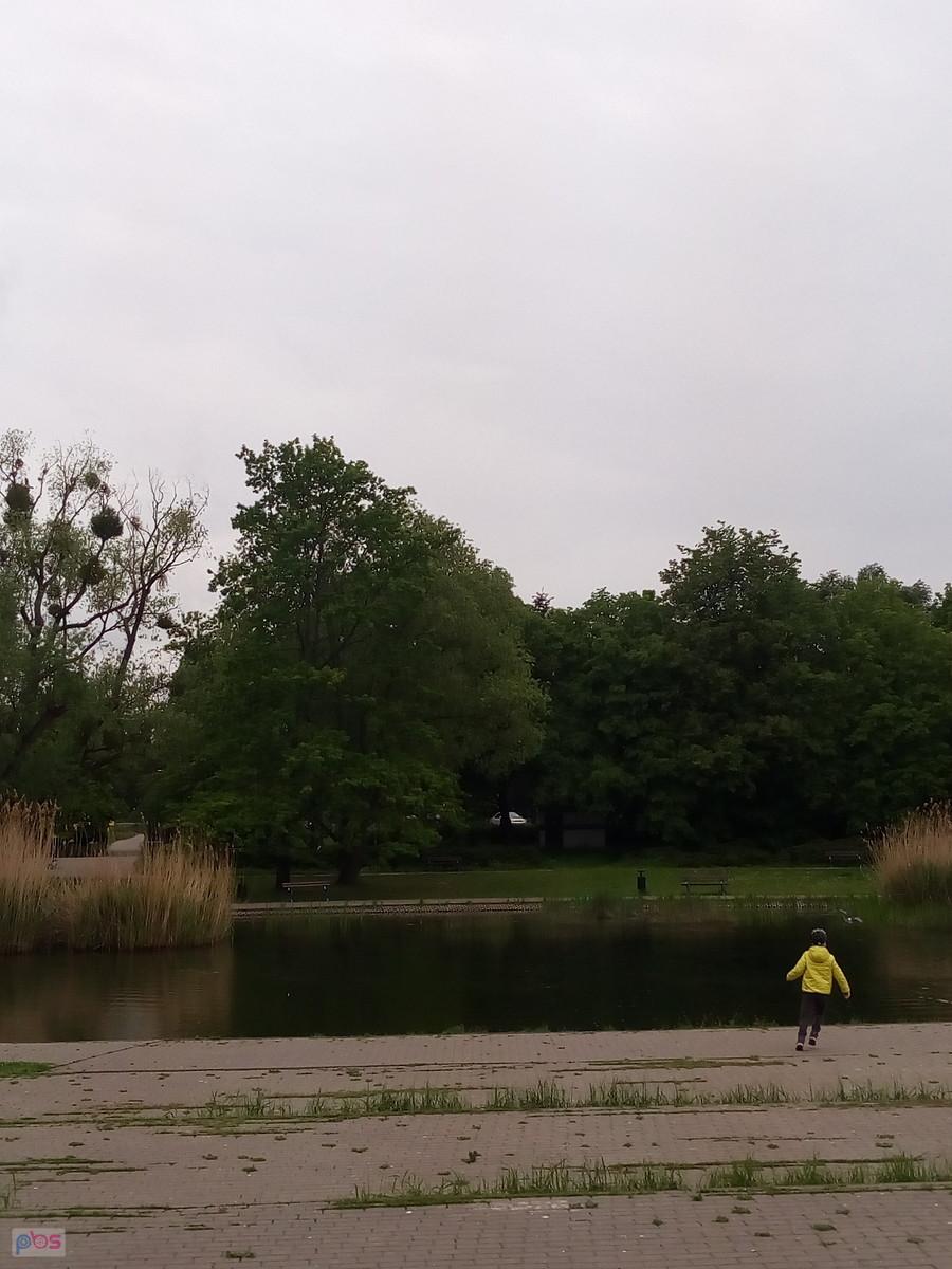 W parku Szymańskiego