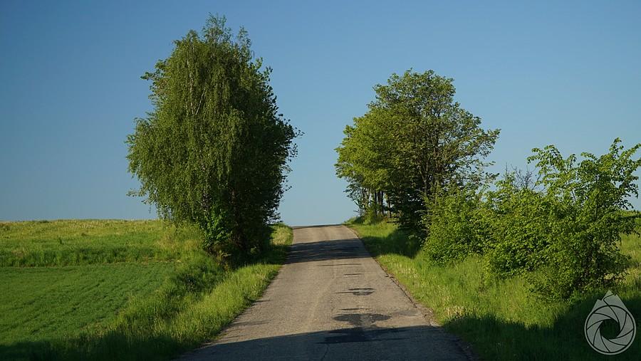 jedna z tych kilku hopek w stronę Rzepiennika