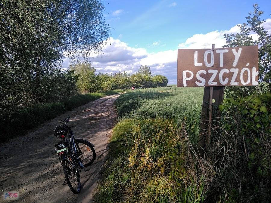 Rower na polnej drodze przy tablicy Loty Pszczół