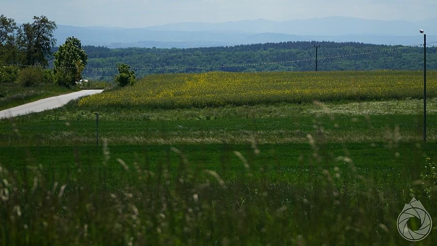 widoczek na góry znad Bolechowic