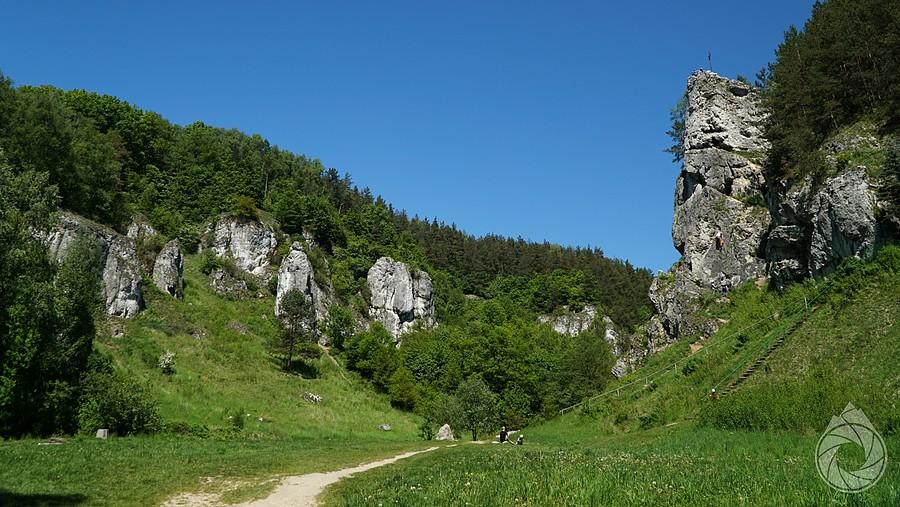 Dolina Kobylańska