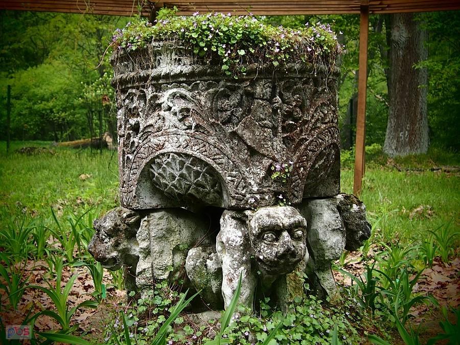 W ogrodzie botanicznym w Brynku