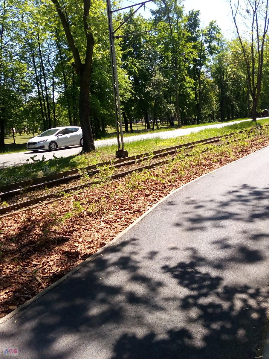 Już posadzone