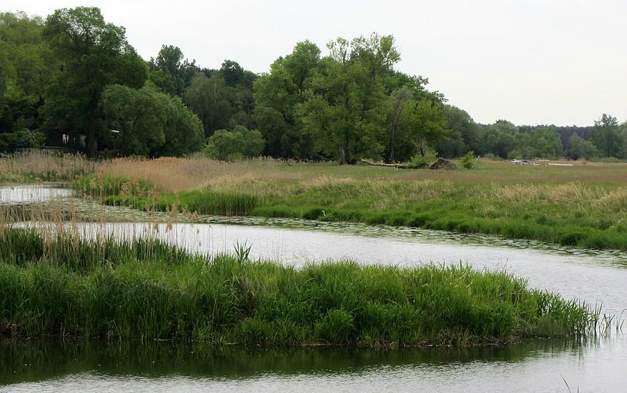 Rzeczne zakola - Radzewice
