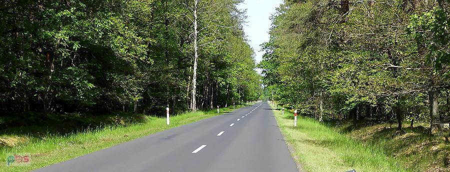 Droga Tanowo - Dobieszczyn , nie każdy ją lubi.
