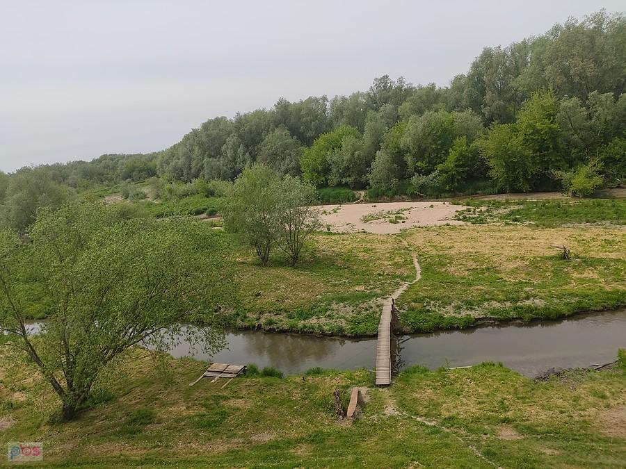 Odnoga Wisły