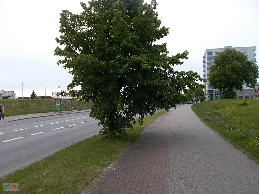 Ścieżka rowerowa