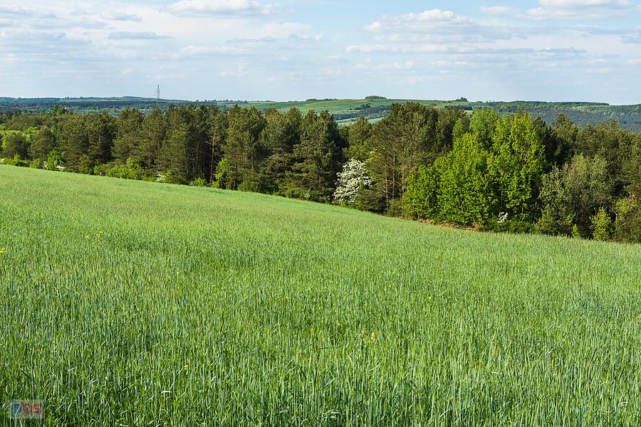 Ostatnie spojrzenie w stronę Bobolic