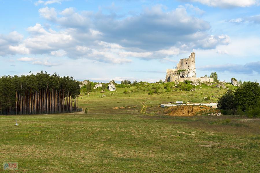Tereny przed zamkiem w Mirowie, tuż przed linią lasu znajduje się płot, a wstęp na teren jest płatny. Wielka szkoda, tym bardziej, że pomiędzy zamkami można było przespacerować się urokliwym szlakiem wśród wapiennych skał.