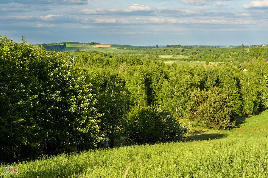 Niegowa - ujęcie w kierunku Tomiszowic/Lelowa.