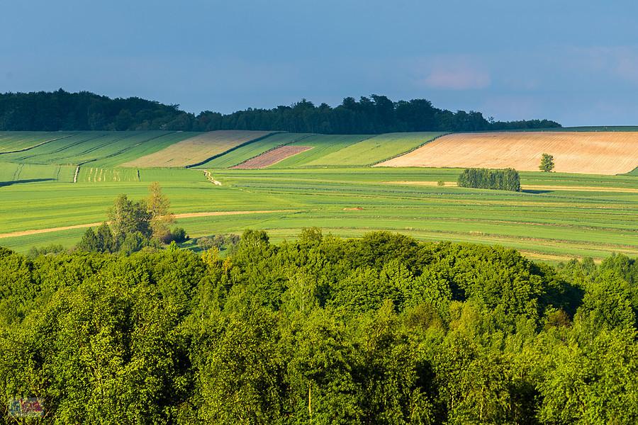 Cień rzucany przez chmurę widziany z Niegowej.