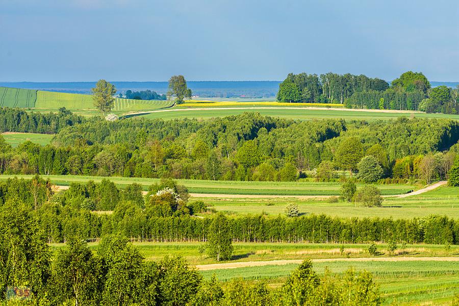 Ujęcie w kierunku Tomiszowic/Lelowa na zbliżeniu.