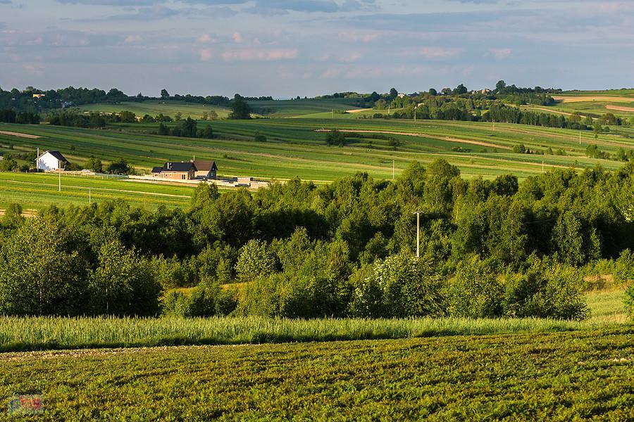 Kolejne ujęcie w kierunku Mzurowa.