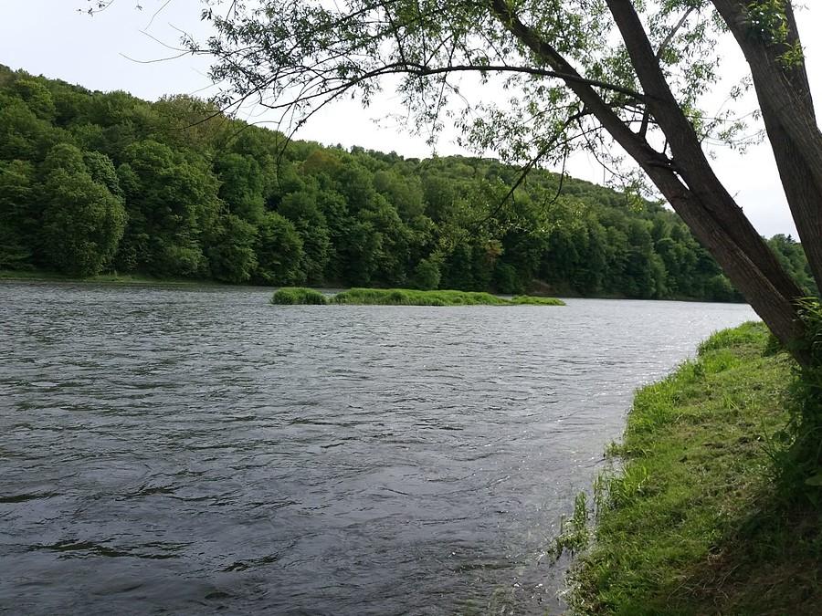 San w Słonnym.