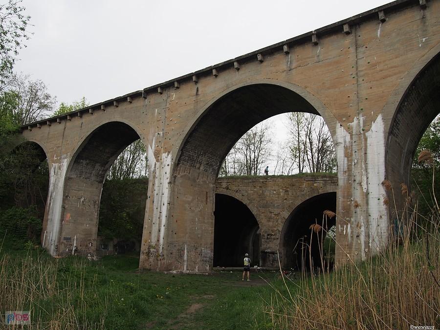 Śląskie "Stańczyki"