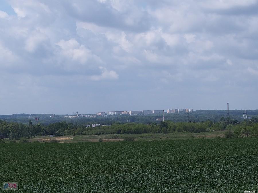 Miechowice na horyzoncie