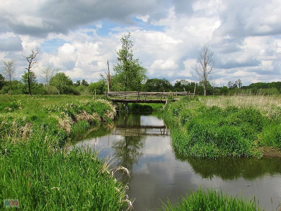 Jeziorka w pobliżu Bogatek