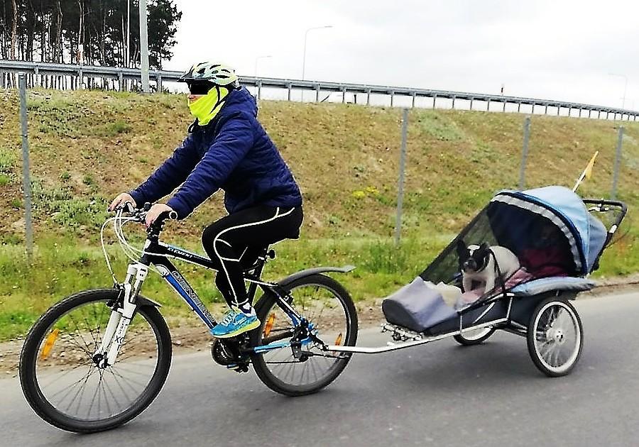 Czworonożny pasażer :)