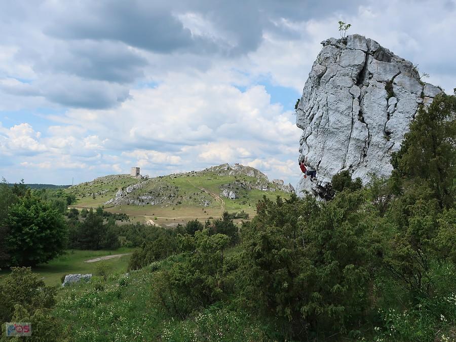Widok na Wzgórze Zamkowe z Cegielni
