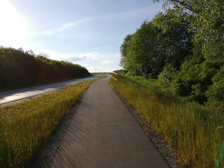 Ścieżka rowerowa przed samym Żerkowem.
