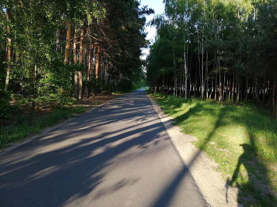 Mój cień ewidentnie wykazuje brak współpracy... Napierdyka po poboczu :P