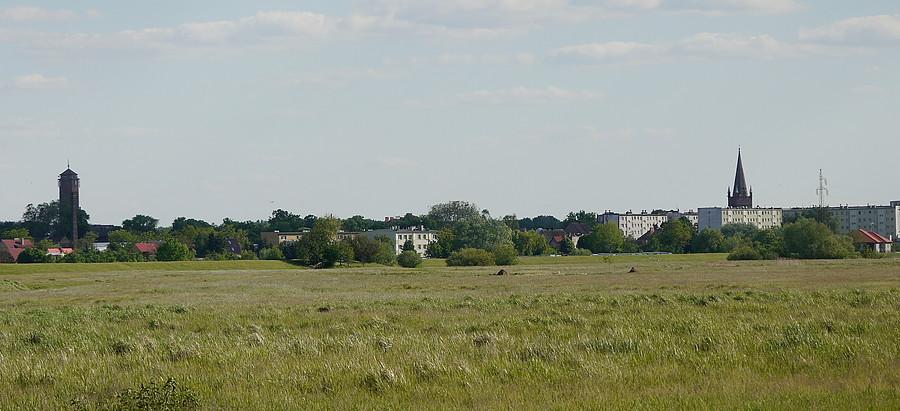 Panorama Skwierzyny