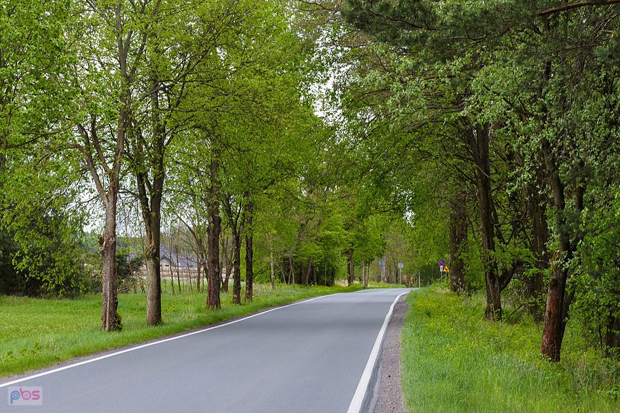 Równy asfalt ulicy Olsztyńskiej - Zaborze