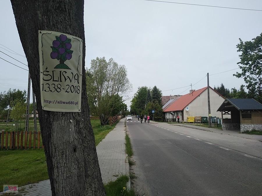 Miejscowość Śliwa