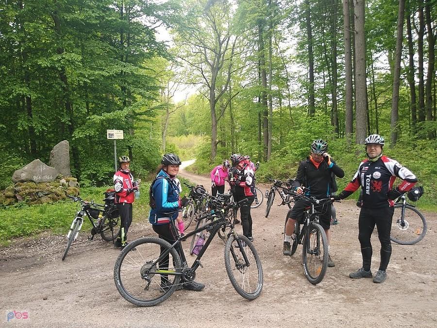 Grupa rowerzystów na leśnej drodze