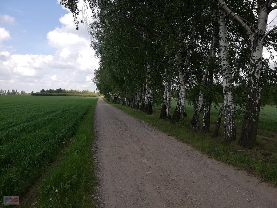 Takie miłe dróżki