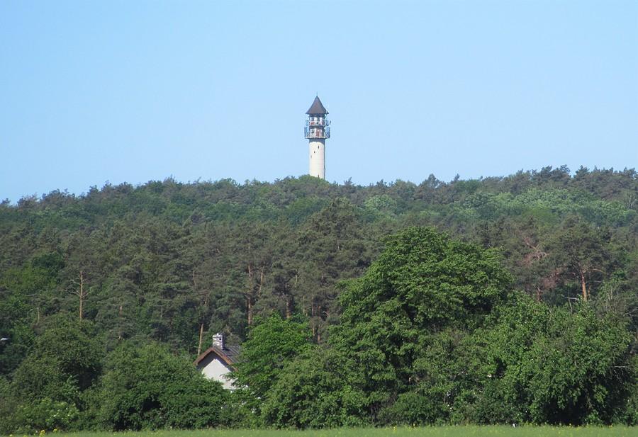 Powiększenie na szczyt Dziewiczej Góry