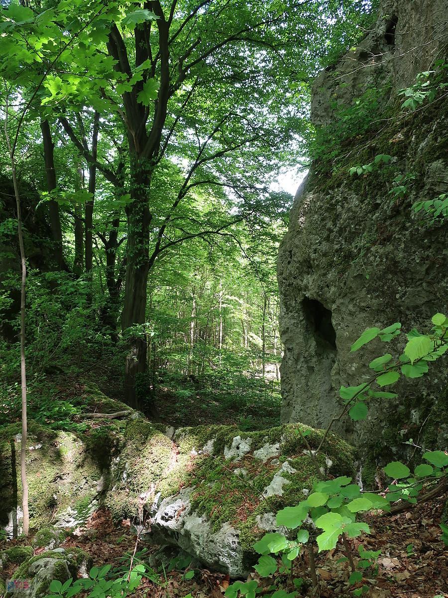 W trzebniowskich skałach