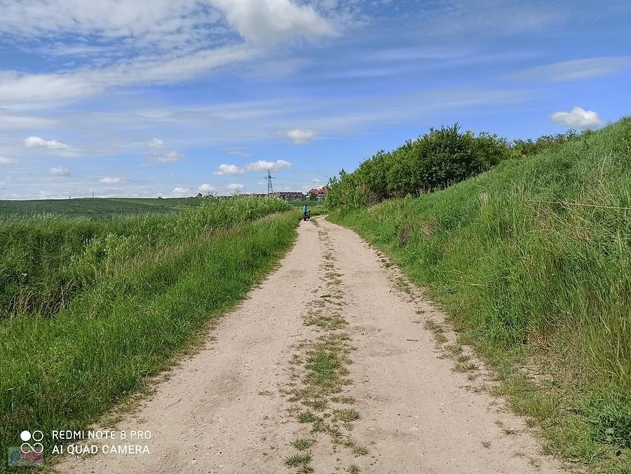 Przez pola do miejscowości Przecław.