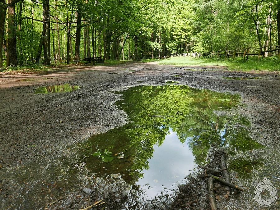 jednej z tych fajnych parkingów leśnych w lasach chotowskich