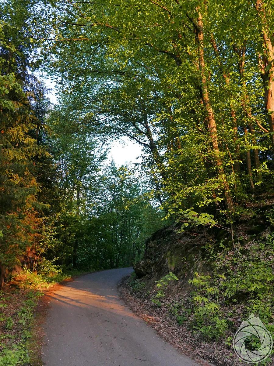 wieczorny podjazd nad Polany, koło skałki