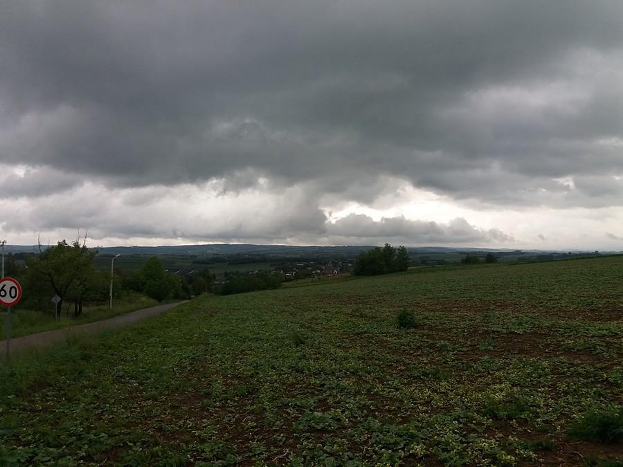 Pogoda nie rozpieszcza.