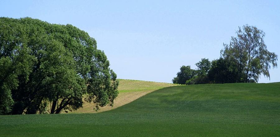 Jakieś tam windowsowe hopki się znalazły