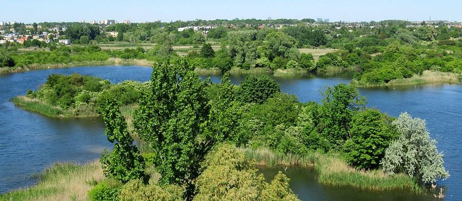 W końcu barwy takie, jak należy, Szachty, Poznań