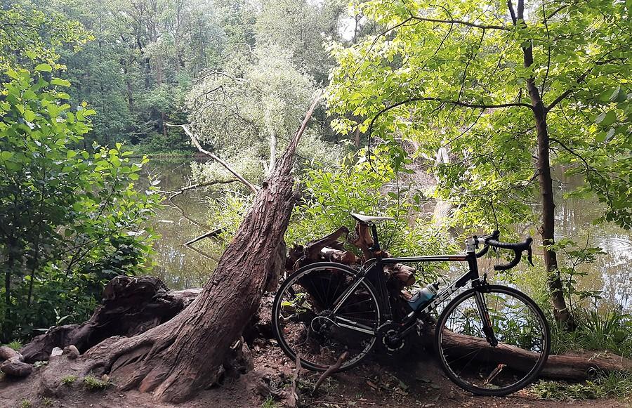 Szosowy parkur :), Las Dębiński, Poznań