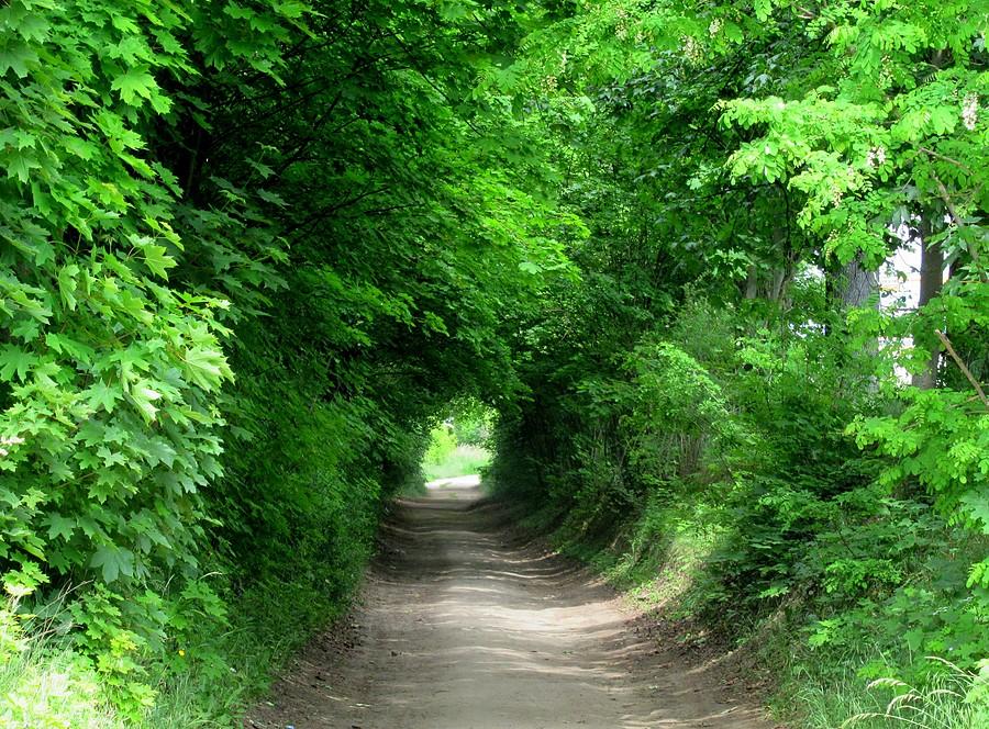 Żaden elf nie wyskoczył :), Wielkopolski Park Narodowy