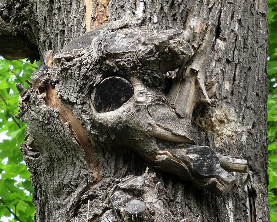 Maska gazowa, niektórzy widzą tu również Jezusa :)