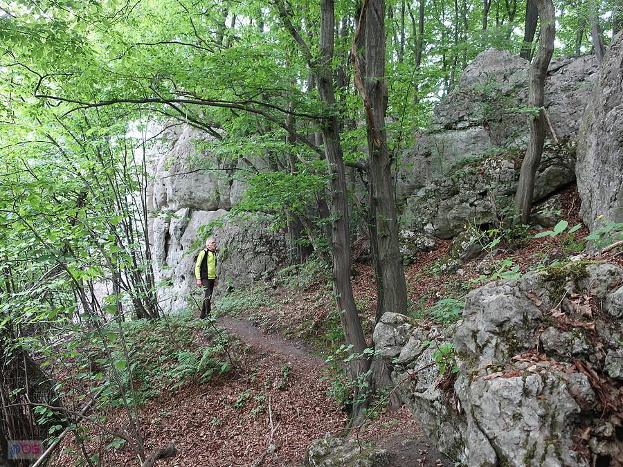 Krzysiek wśród skał