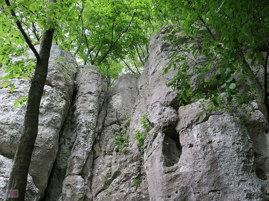 Biały Murek