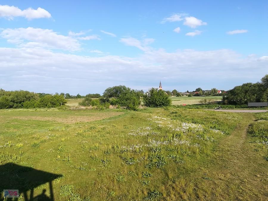 Widok z wieży