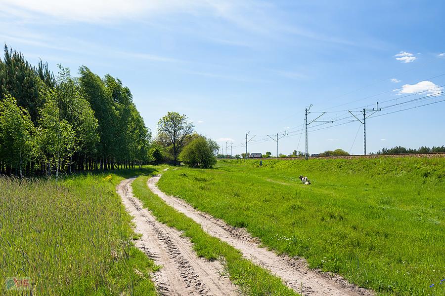 Droga wzdłuż torów linii D29-61 - Staropole